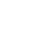 Lightyear linkedin logo icon small