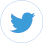 Lightyear Twitter icon, blue bird in circle