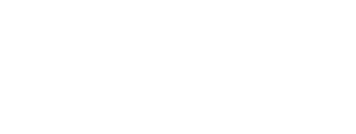 Lightyear accounts payable logo reverse white